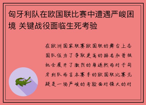 匈牙利队在欧国联比赛中遭遇严峻困境 关键战役面临生死考验