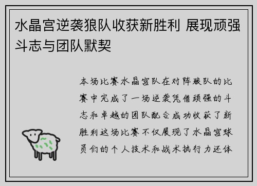 水晶宫逆袭狼队收获新胜利 展现顽强斗志与团队默契