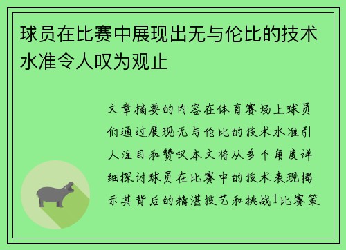 球员在比赛中展现出无与伦比的技术水准令人叹为观止